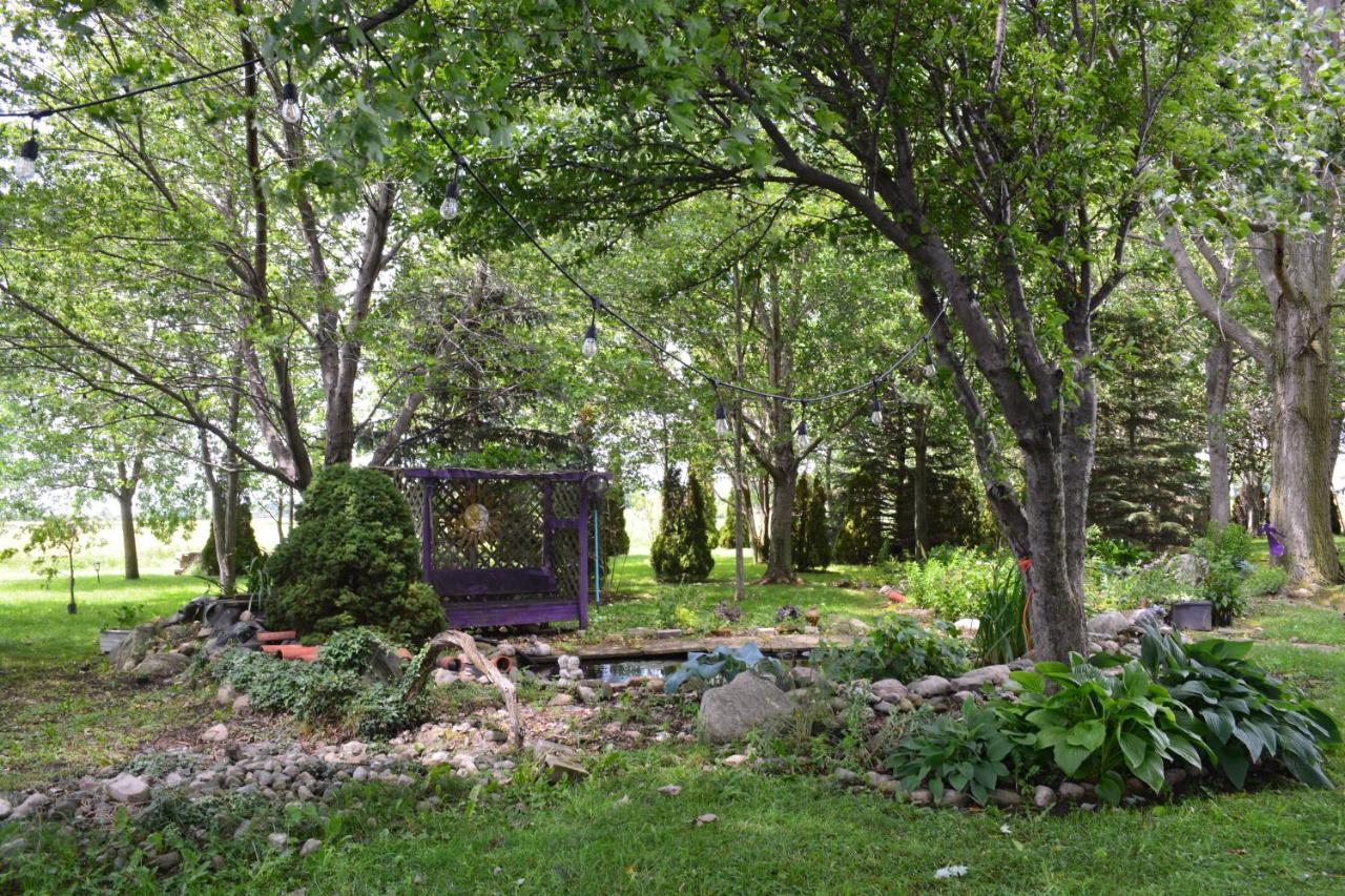 Wheatley Birds Point Cottage On A Cliff Facing Lake Erie. المظهر الخارجي الصورة