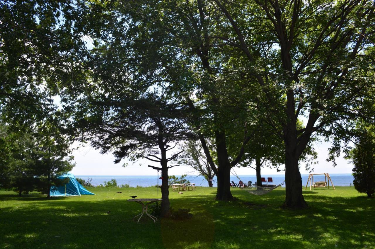 Wheatley Birds Point Cottage On A Cliff Facing Lake Erie. المظهر الخارجي الصورة